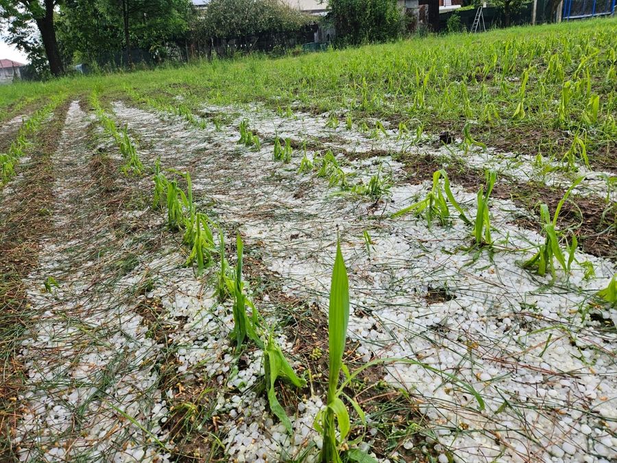 Grandinate, colpiti soprattutto il pinerolese e l'eporediese