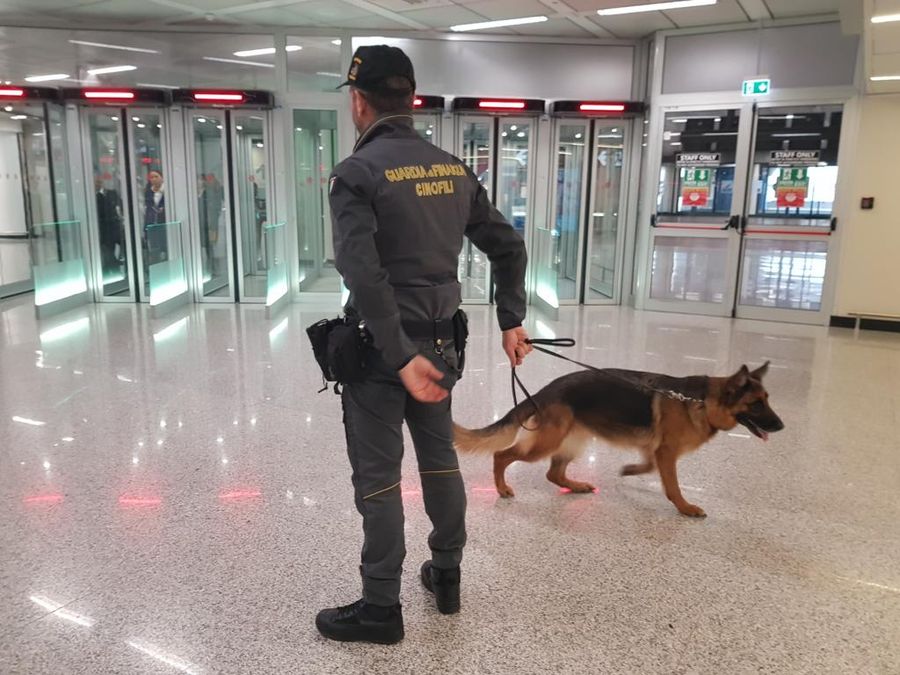 Immigrazione clandestina, a Torino la Guardia di Finanza arresta nove persone