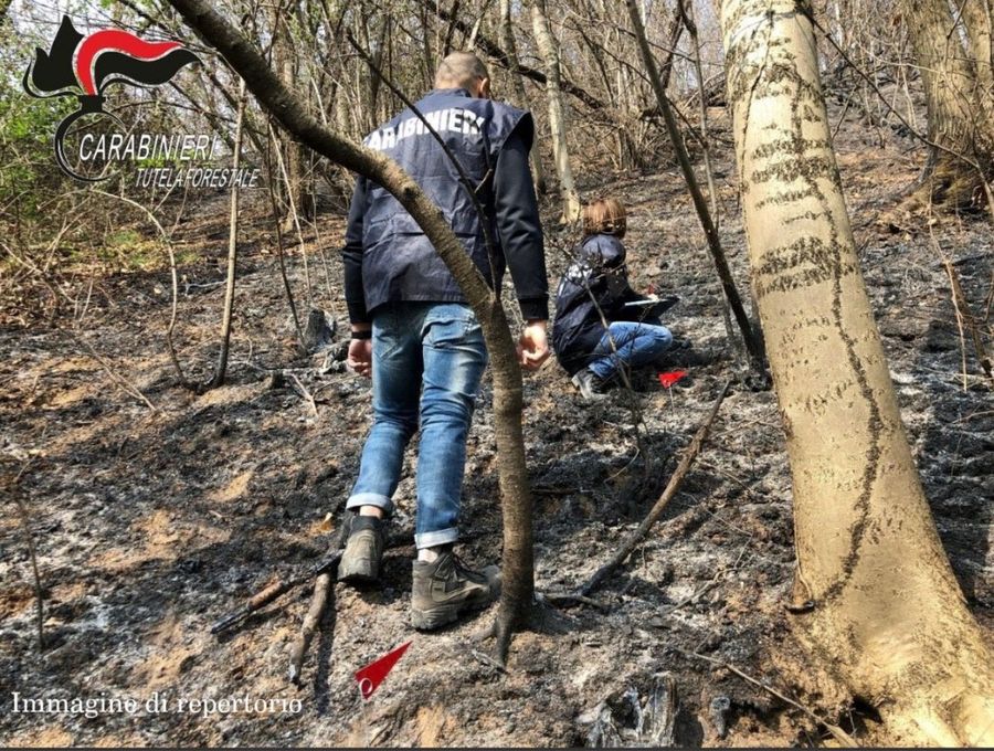 Usa il flessibile per tagliare i pali, prende fuoco il bosco della riserva Monti Pelati