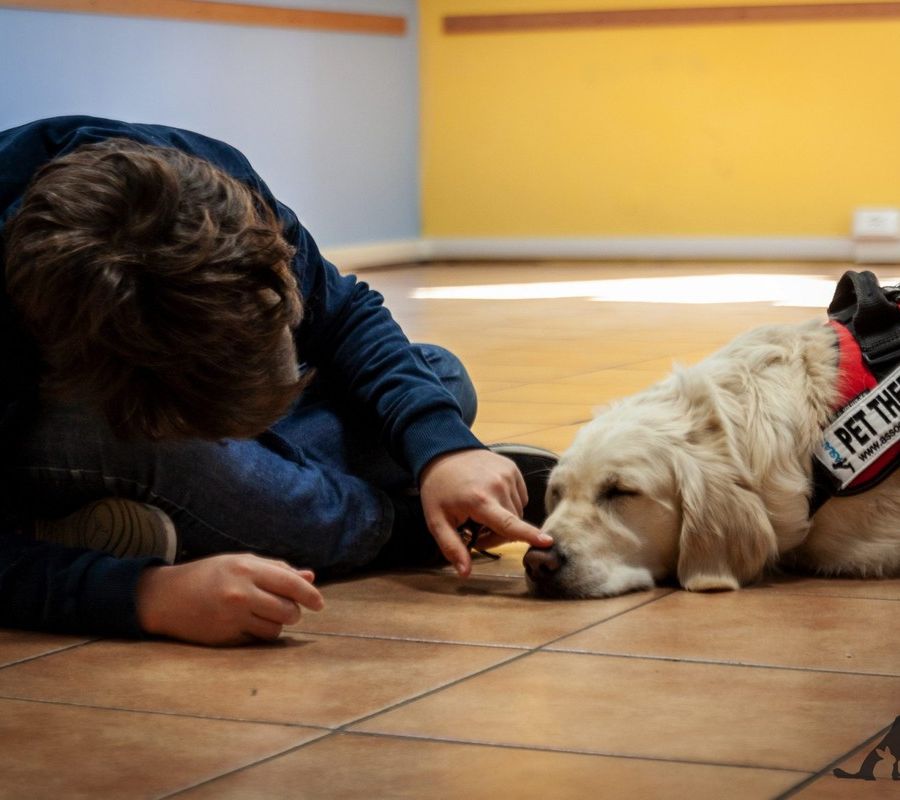 Piemonte, Pet Therapy, il 13 giugno incontro con tutte le associazioni, si ricomincia