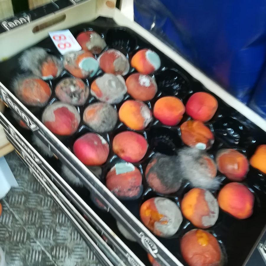 Porta Palazzo, i vigili sequestrano 6 quintali di frutta ammuffita
