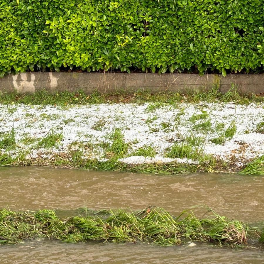Grandinata nel Torinese, i danni all'agricoltura sono ingenti, a rischio grano e fieno, serre scoperchiate