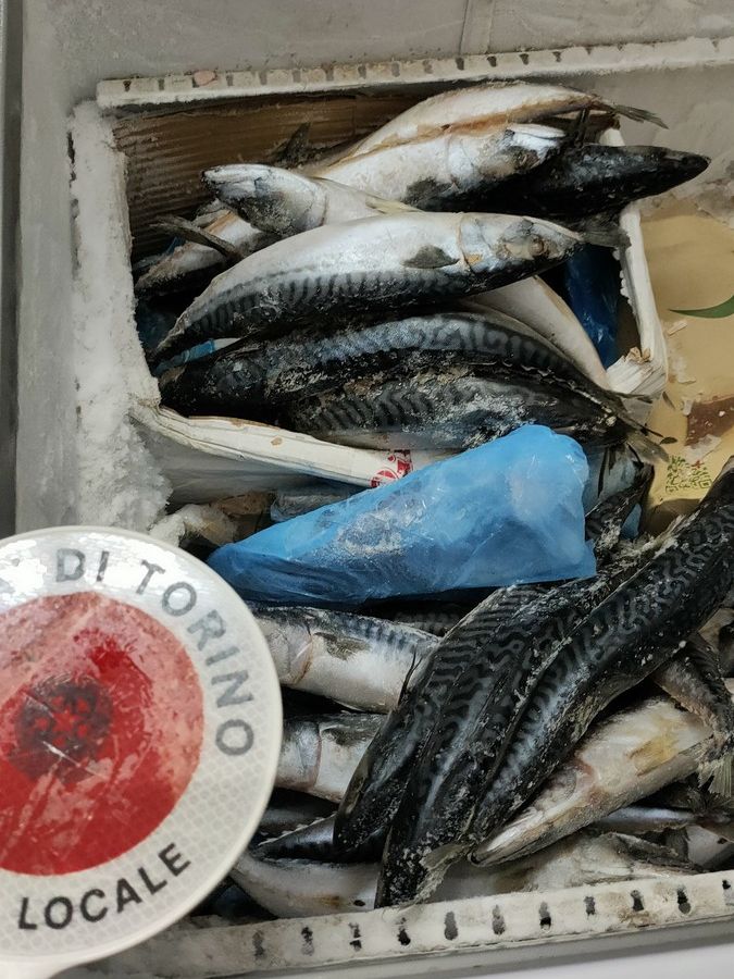 Torino, corso Giulio Cesare: cibo da incubo al banglamarket