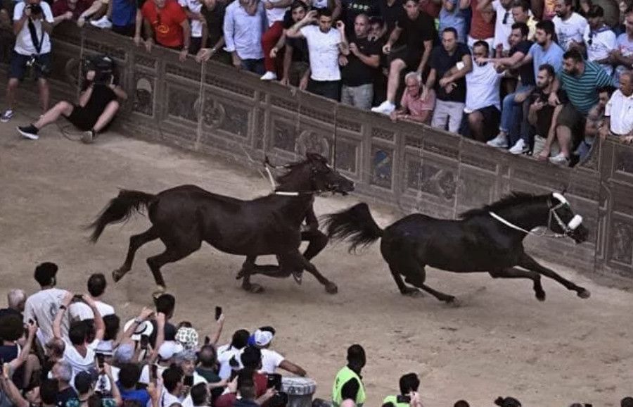 Palio di Siena: e se la smettessimo con certe tradizioni?