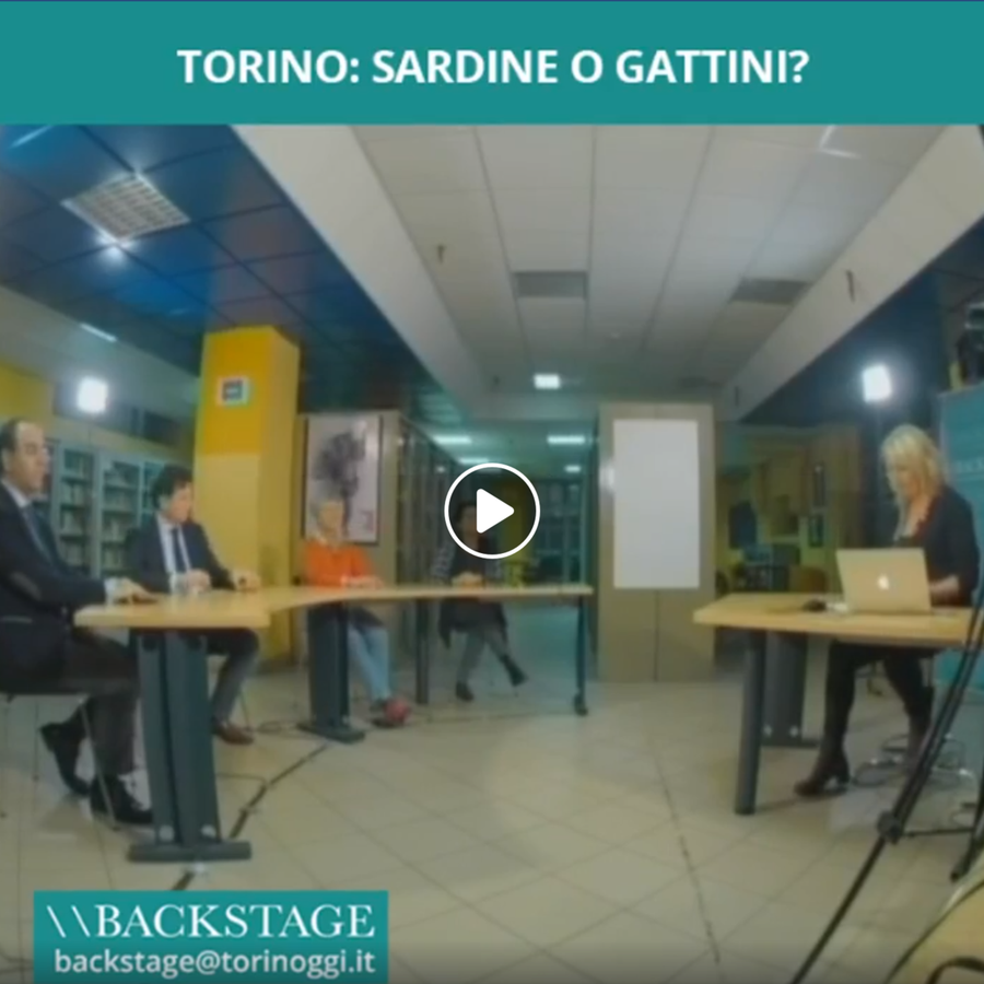 Torino: sardine o gattini?