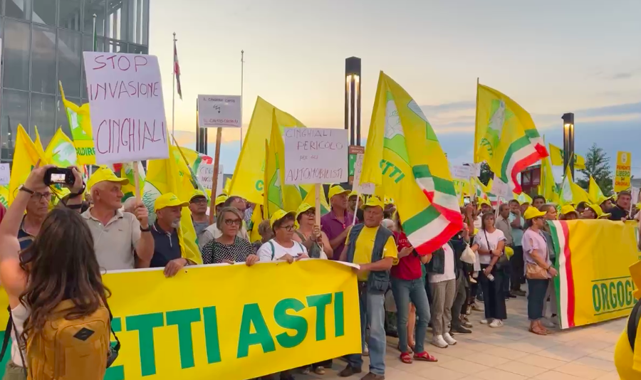 &quot;Basta cinghiali&quot;: manifestazione di Coldiretti sotto al grattacielo della Regione Piemonte [video]