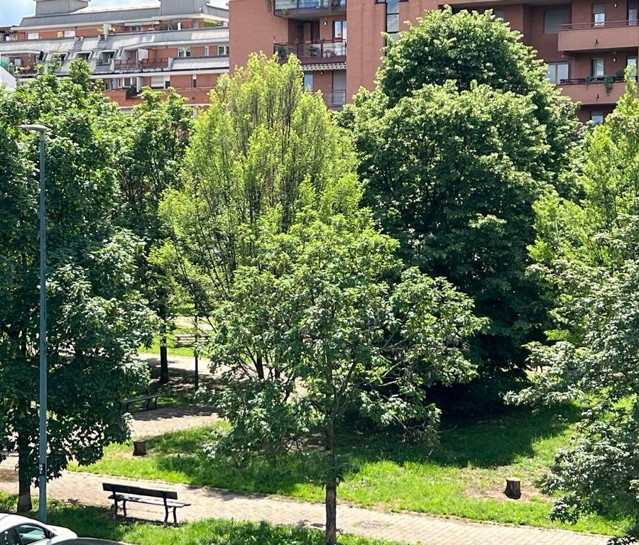 Offerte di lavoro per ragionieri e agronomi a Torino e provincia