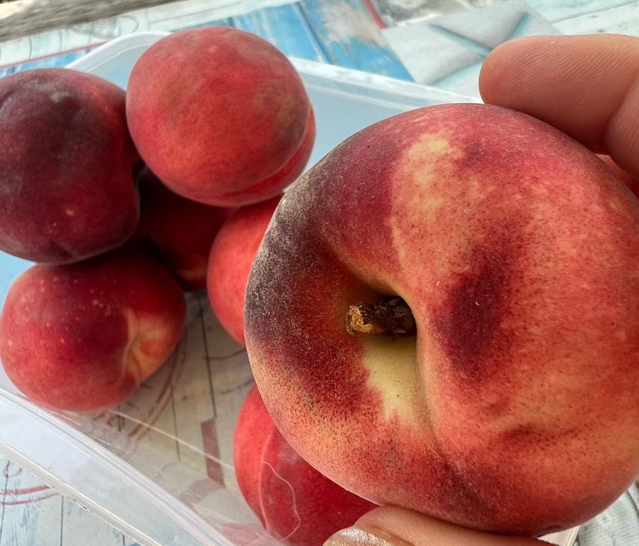 Inflazione: il caldo spinge i consumi ma per frutta e verdura i prezzi triplicano