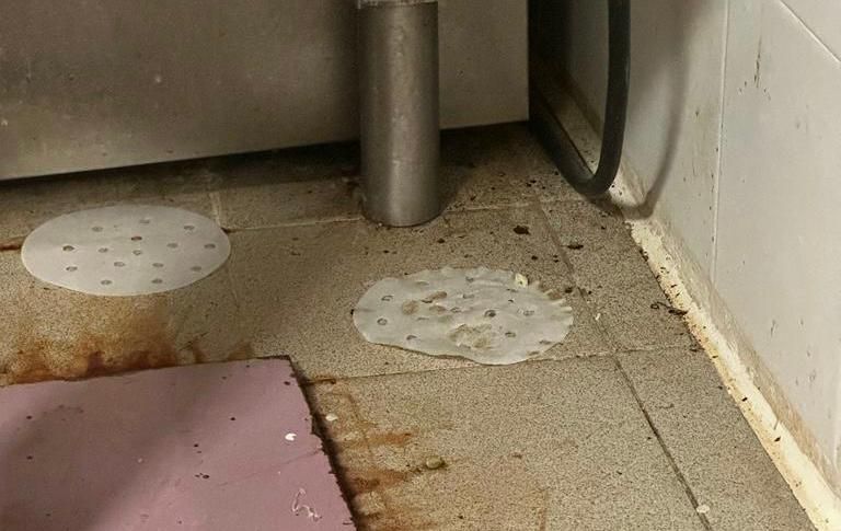 Cucine da incubo tra scarafaggi (vivi e morti), sporcizia diffusa e cibi scaduti
