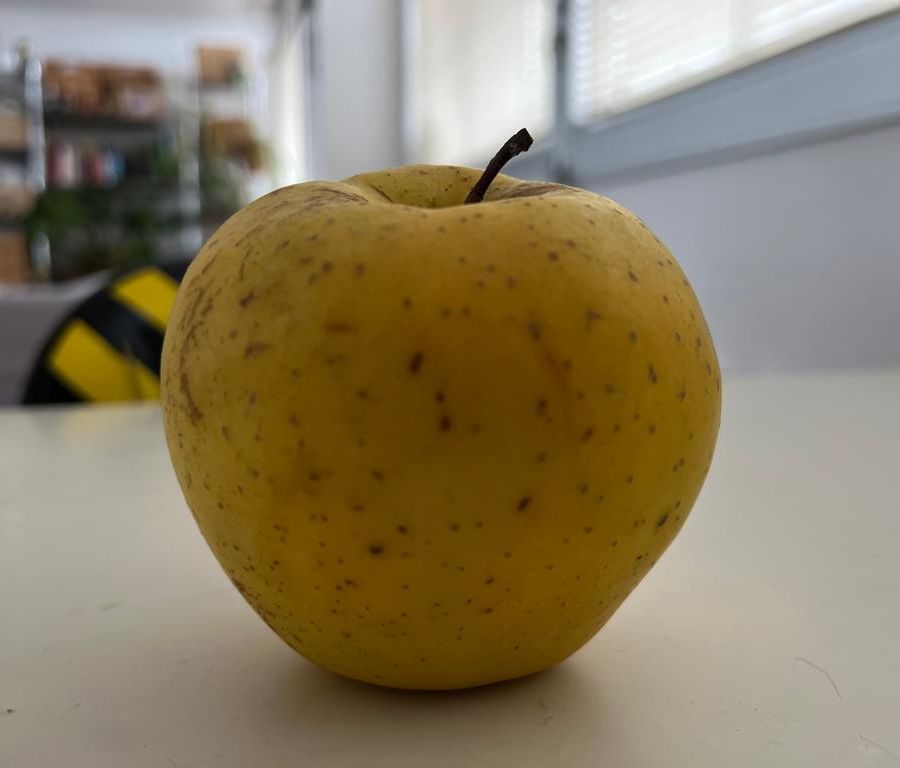 Consumi, Coldiretti: addio a 1 frutto su 10 sulle tavole degli italiani