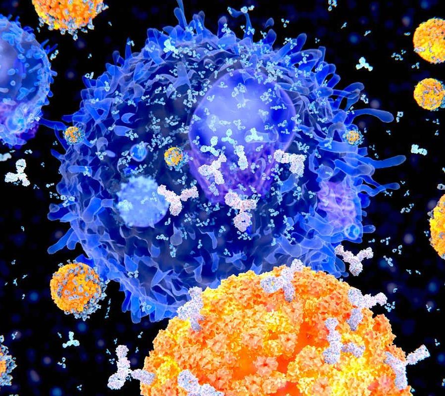 Covid, in Piemonte primo trattamento con anticorpi monoclonali: una nuova arma contro il virus