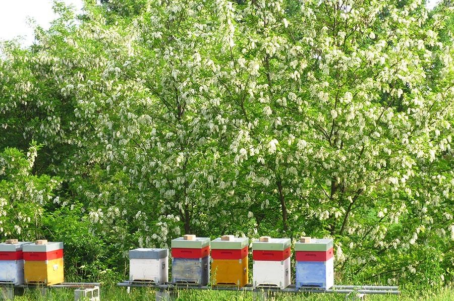 L'agricoltura sostenibile fa bene all'ambiente. Un'indagine di Coldiretti