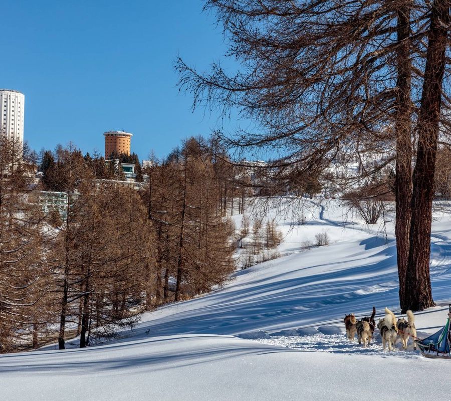 Quasi 17 milioni di presenze, nel 2024 il turismo in Piemonte è da record