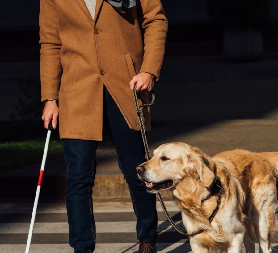 “Il Piemonte al mio fianco”, inclusione e diritti per le persone con disabilità visiva