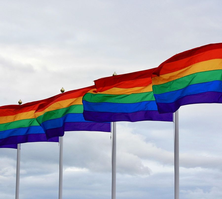 Università e &quot;queer studies&quot;, non confondiamo l'autonomia di insegnamento con il comizio politico