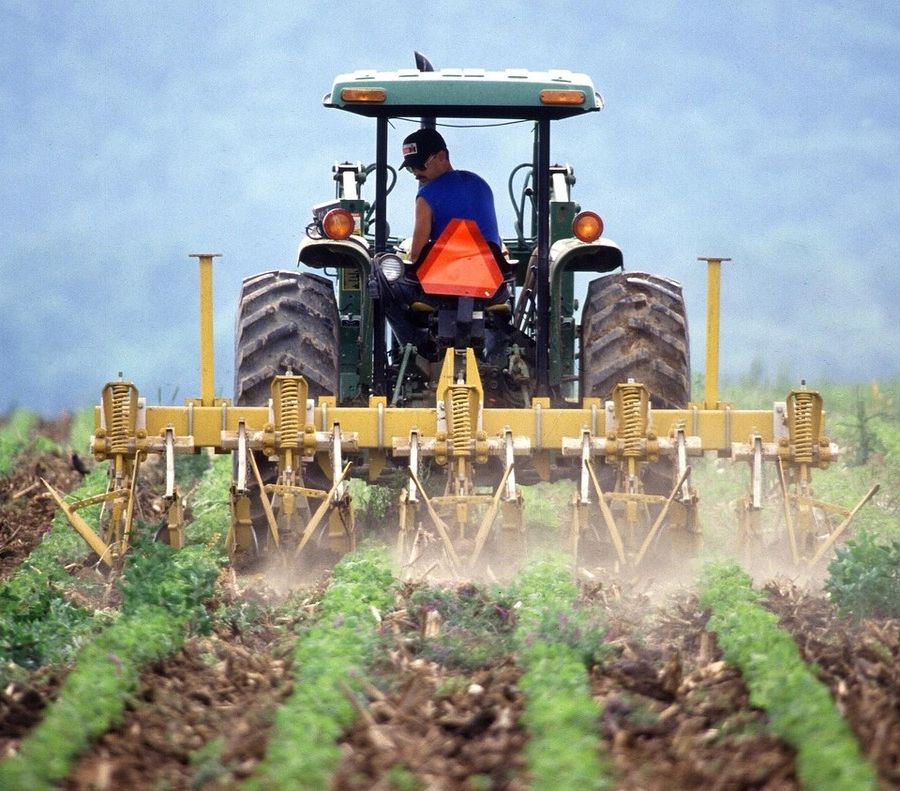 Coldiretti lancia l'allarme, nei campi italiani mancano almeno centomila lavoratori