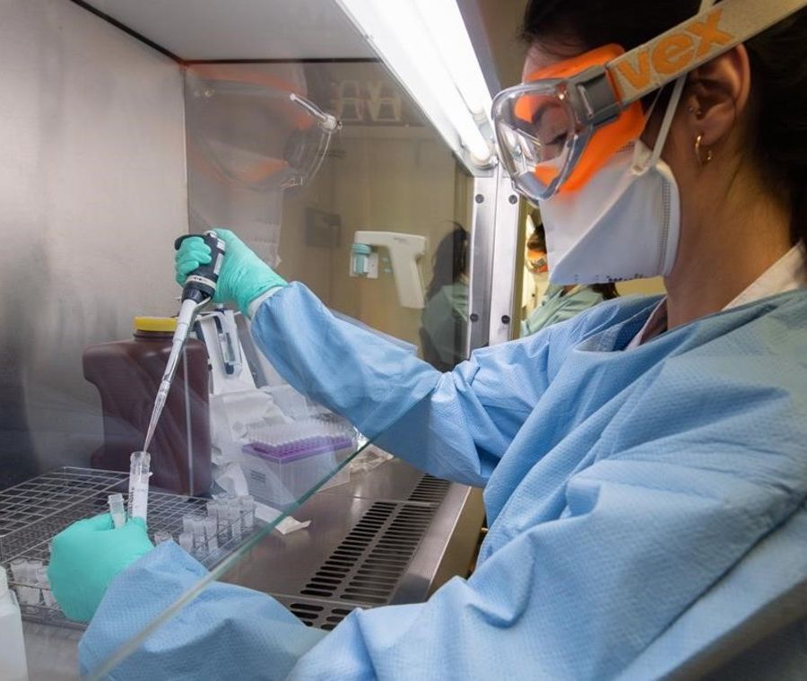 Coronavirus, analisi di 355 casi:  12 i decessi accertati per Covid-19, altri avevano pluripatologie