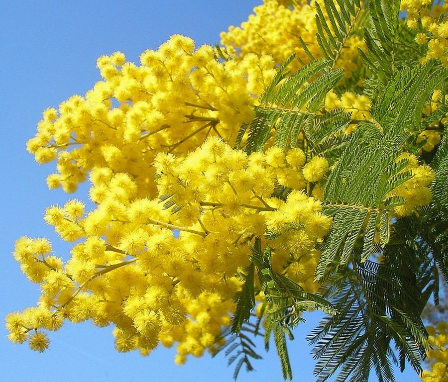 8 Marzo, le imprenditrici: non possiamo più accontentarci delle quote rosa