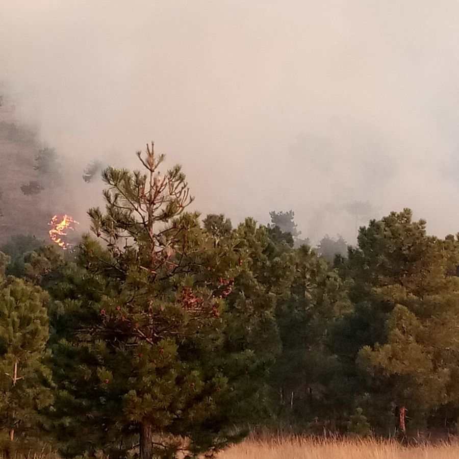 Dichiarato lo stato di massima pericolosità per incendi boschivi su tutto il territorio piemontese.