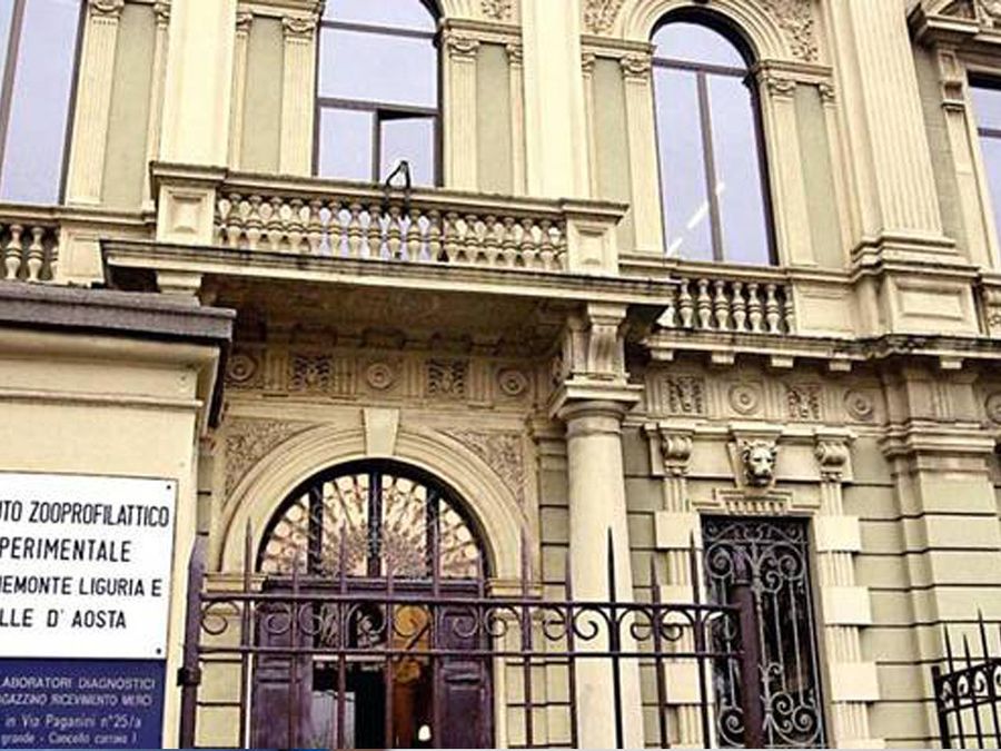 Covid, confermato il secondo caso di variante inglese in Piemonte
