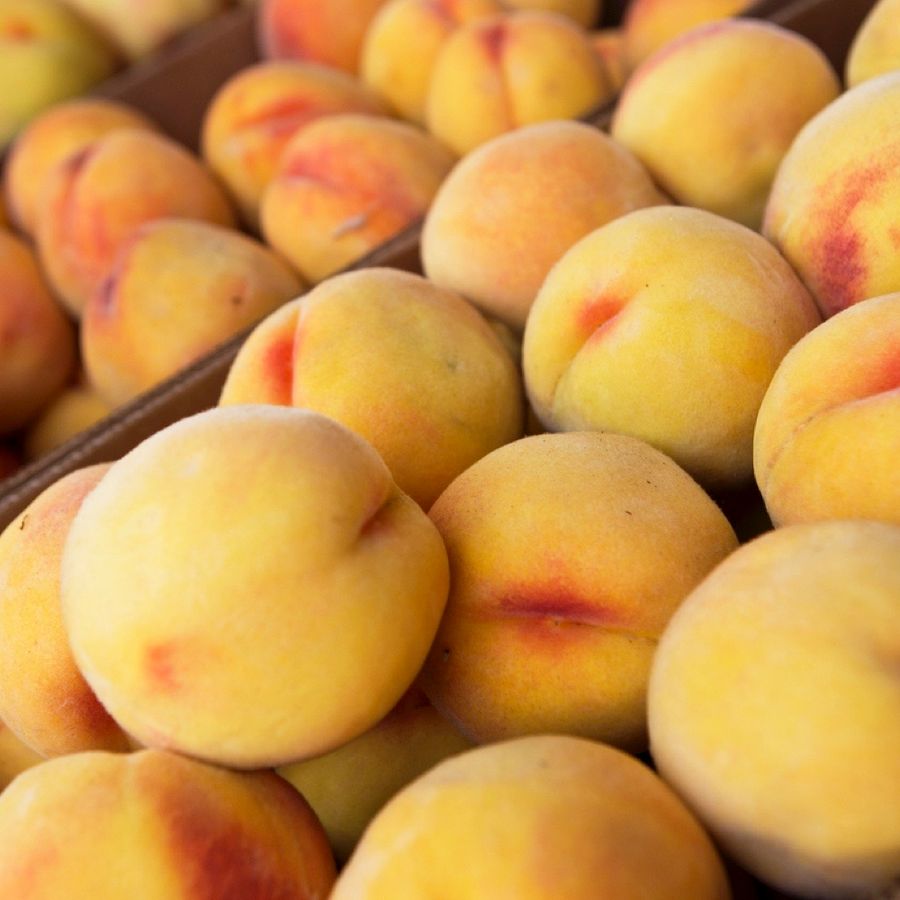 Coldiretti Piemonte: nel clou della raccolta frutta attenzione a prezzi e provenienza