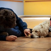 Piemonte, Pet Therapy, il 13 giugno incontro con tutte le associazioni, si ricomincia