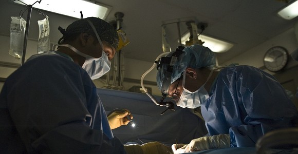 Donazioni e trapianti, nel 2025 Piemonte in crescita con Torino ai primi posti in Italia