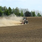 Riso, mais e ortofrutta a rischio siccità, per Coldiretti subito misure per salvare i raccolti Riso, mais e ortofrutta a rischio siccità, per Coldiretti subito misure per salvare i raccolti
