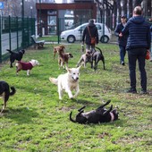 Corso Galileo Ferraris, nuova area cani realizzata in collaborazione con Arcaplanet