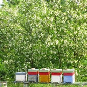 L'agricoltura sostenibile fa bene all'ambiente. Un'indagine di Coldiretti