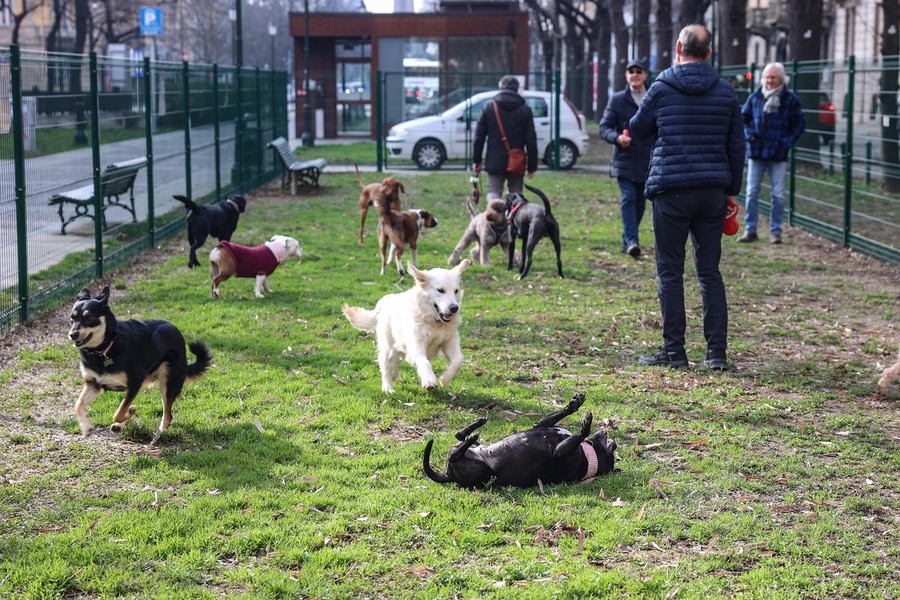 Corso Galileo Ferraris, nuova area cani realizzata in collaborazione con Arcaplanet
