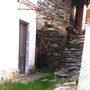 Un cervo maschio adulto ospite inatteso in una frazione di Ala di Stura