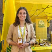 Il 20 maggio è la Giornata mondiale delle api: consumare &quot;made in Piemonte&quot; per la certezza della tracciabilità