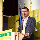 Food for Gaza: il primo carico di aiuti alimentari per la striscia sostenuto da Coldiretti e Filiera Italia