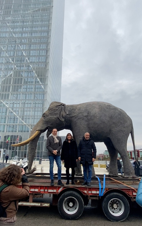 L’elefante Fritz in piazza Castello annuncia la riapertura del Museo Regionale di Scienze Naturali a Torino