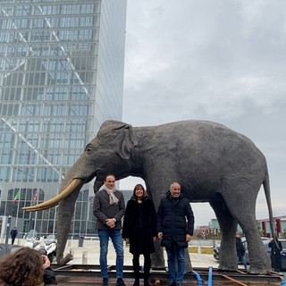 L’elefante Fritz in piazza Castello annuncia la riapertura del Museo Regionale di Scienze Naturali a Torino