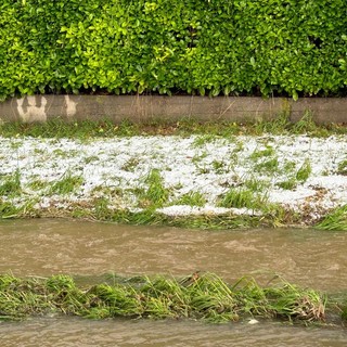 Grandinata nel Torinese, i danni all'agricoltura sono ingenti, a rischio grano e fieno, serre scoperchiate