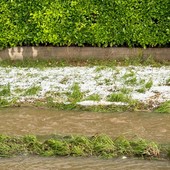 Grandinata nel Torinese, i danni all'agricoltura sono ingenti, a rischio grano e fieno, serre scoperchiate