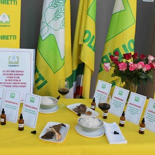 Prodotti alimentari extra Ue, Coldiretti chiede più controlli per salvare le eccellenze piemontesi