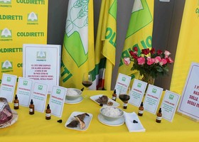 Prodotti alimentari extra Ue, Coldiretti chiede più controlli per salvare le eccellenze piemontesi Prodotti alimentari extra Ue, Coldiretti chiede più controlli per salvare le eccellenze piemontesi