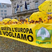 Agricoltori in piazza a Bruxelles contro la burocrazia e l'aumento dei costi: “Vogliamo risposte tempestive e certe”