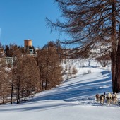 Quasi 17 milioni di presenze, nel 2024 il turismo in Piemonte è da record