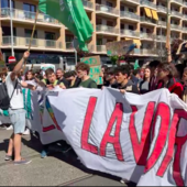 Sciopero per il clima, in piazza i Fridays For Future torinesi