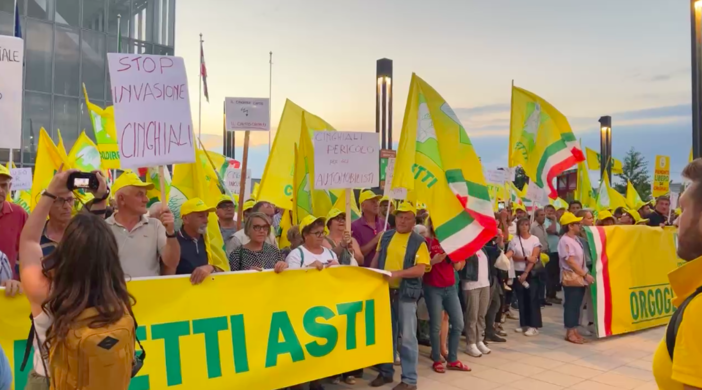 "Basta cinghiali": manifestazione di Coldiretti sotto al grattacielo della Regione Piemonte [video]