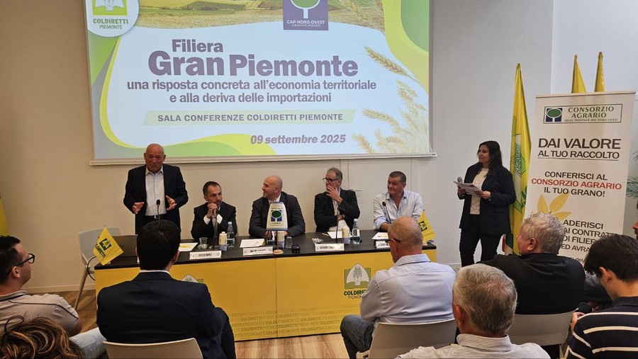 Grano tenero, 7 milioni di quintali importati dall’estero. Appello di Coldiretti