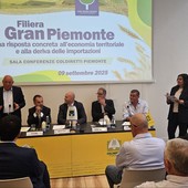 Grano tenero, 7 milioni di quintali importati dall’estero. Appello di Coldiretti