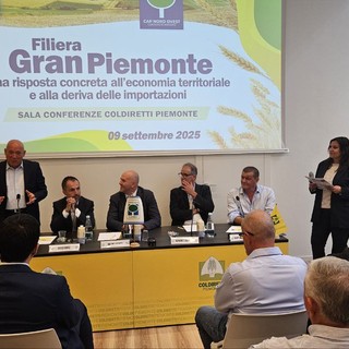 Grano tenero, 7 milioni di quintali importati dall’estero. Appello di Coldiretti