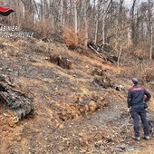 Lotta agli incendi boschivi in Piemonte, in due mesi già venti le persone denunciate Lotta agli incendi boschivi in Piemonte, in due mesi già venti le persone denunciate