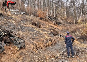 Lotta agli incendi boschivi in Piemonte, in due mesi già venti le persone denunciate Lotta agli incendi boschivi in Piemonte, in due mesi già venti le persone denunciate
