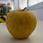 Consumi, Coldiretti: addio a 1 frutto su 10 sulle tavole degli italiani